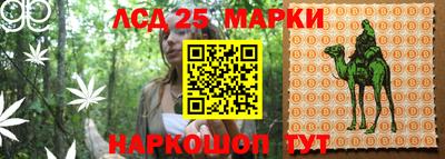 скорость Донецк