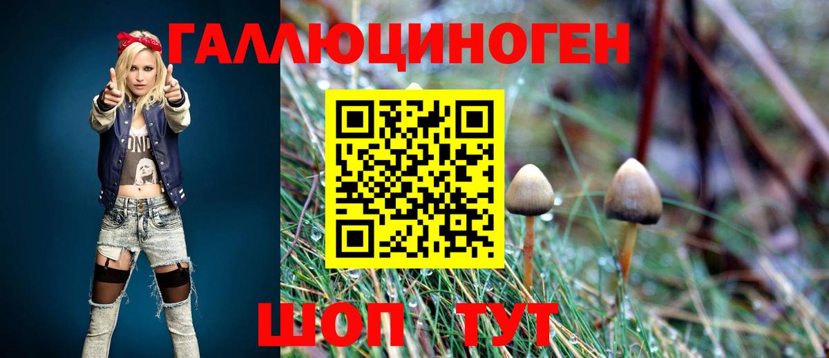Ленинск-Кузнецкий  Псилоцибиновые грибы мицелий  Псилоцибиновые грибы мицелий  Вход с VPN 