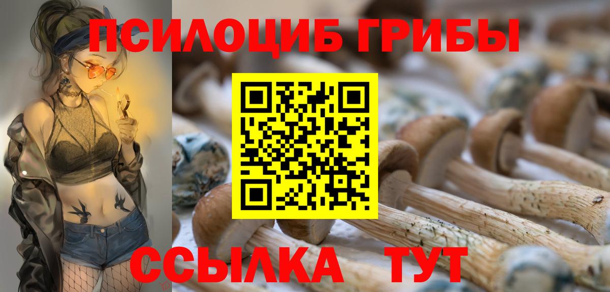 Галлюциногенные грибы GOLDEN TEACHER Ленинск-Кузнецкий